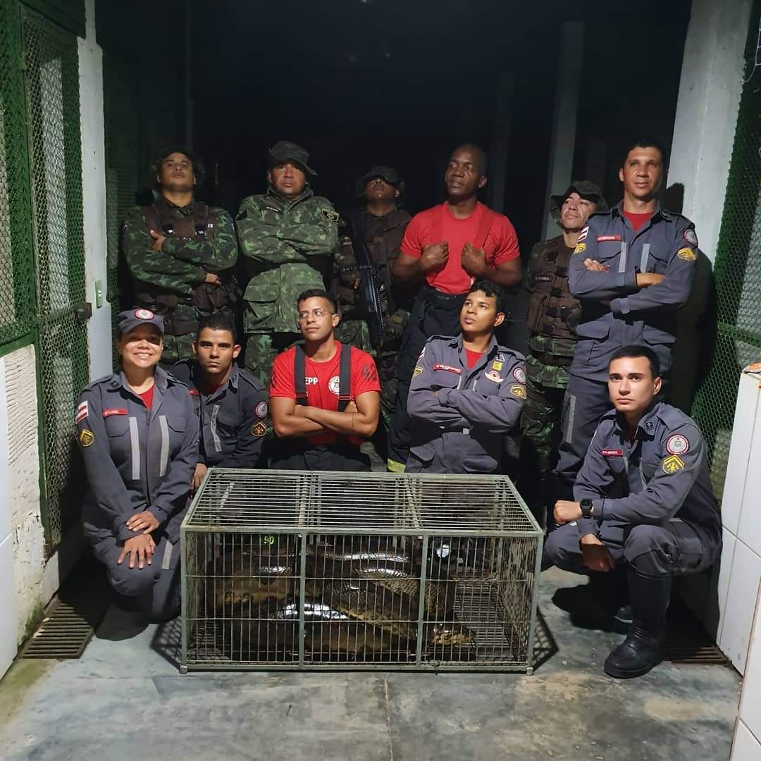 corpo de bombeiros