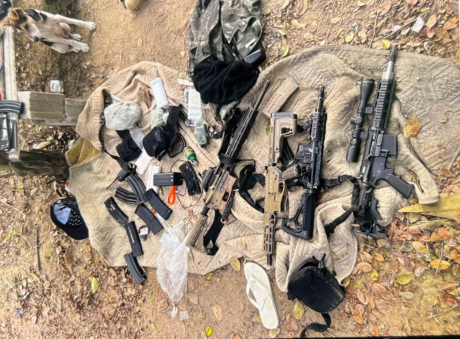 fuzis em porto seguro